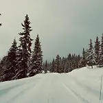 Snowcake