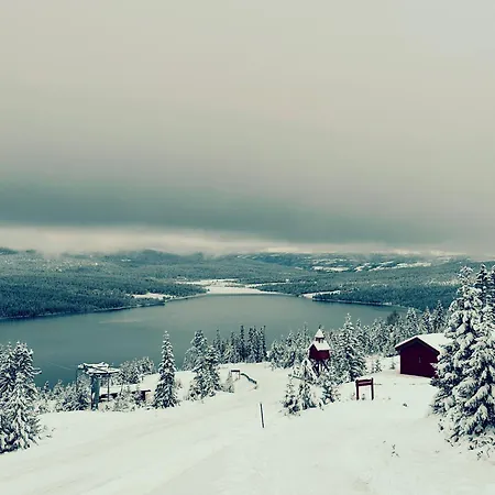 Snowcake Villa