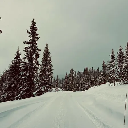Snowcake