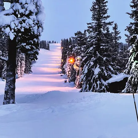Snowcake