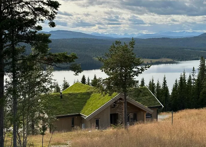 Villa Snowcake Sør-Fron